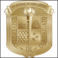 /album/aliados-de-aiesec-en-guanajuato6/ug300p-png6/